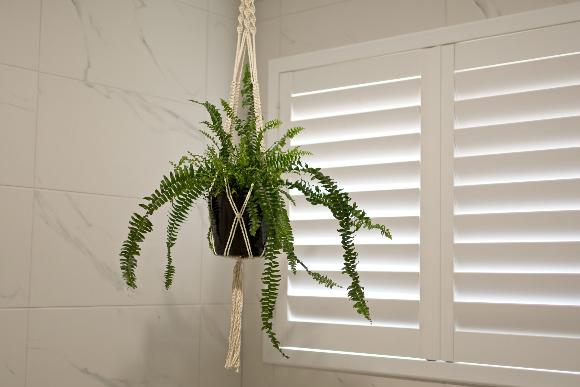 Plantation shutters